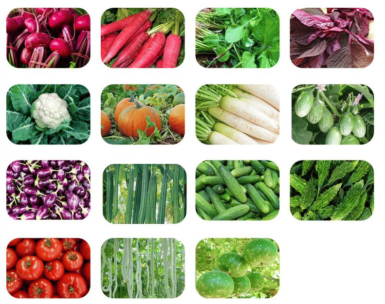     			Vedhahi Mixed Vegetable 10 Varieties ( 100 Seeds )