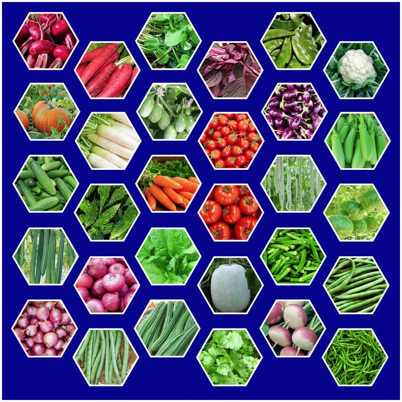     			Vedhahi Mixed Vegetable 30 Varieties ( 180 Seeds )