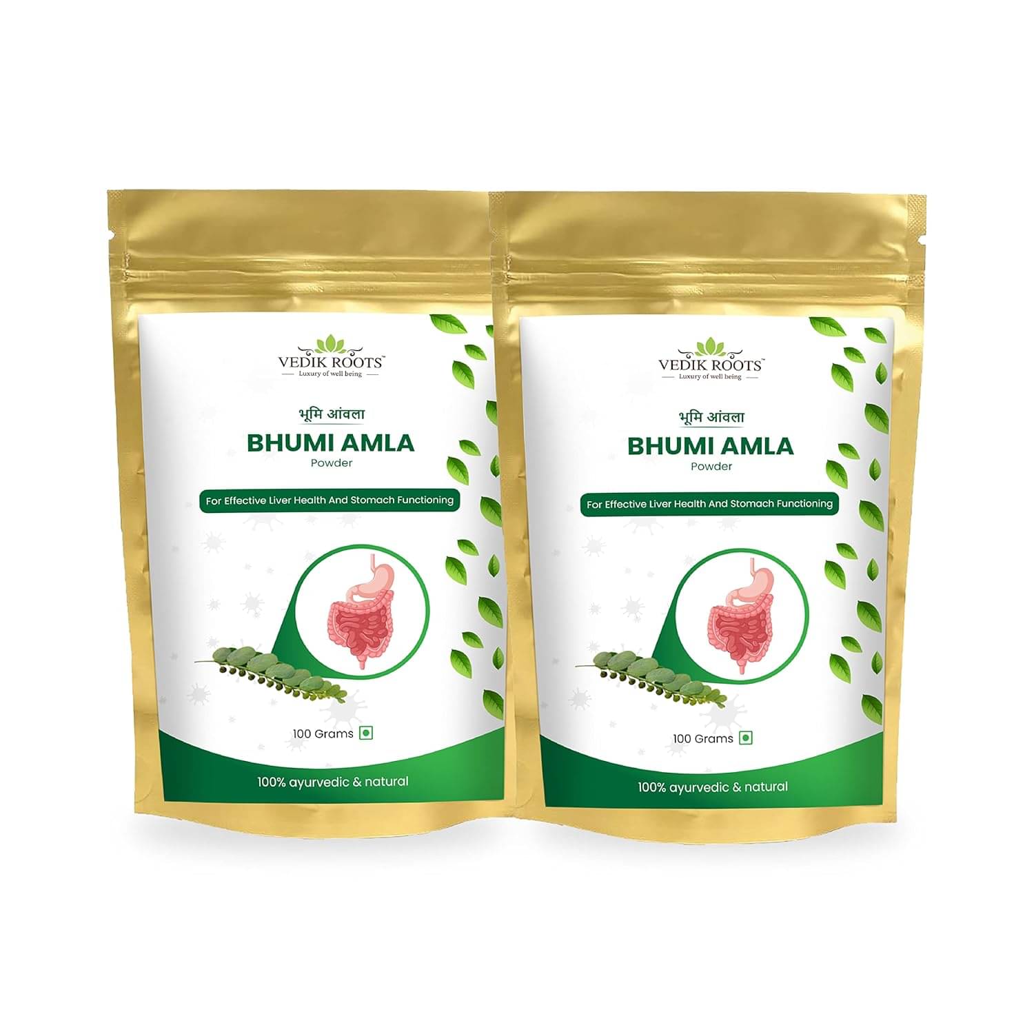Vedikroots Bhumi Amla for Liver Functioning Powder 200 gm Pack Of 2 Vedikroots Bhumi Amla for Liver Functioning Powder 200 gm Pack Of 2