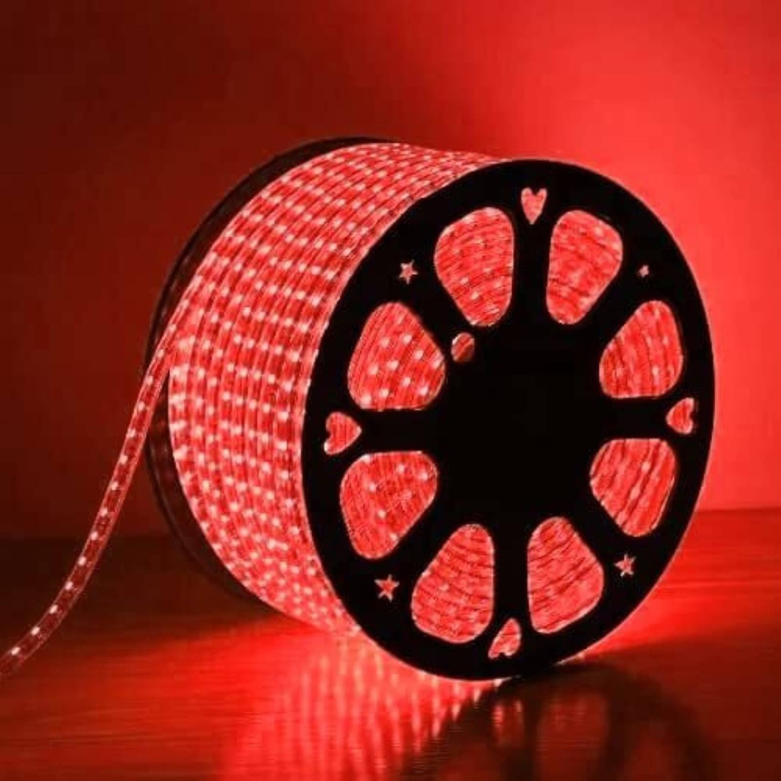     			X Pulse Red 5M LED Rope Light ( Pack of 1 )