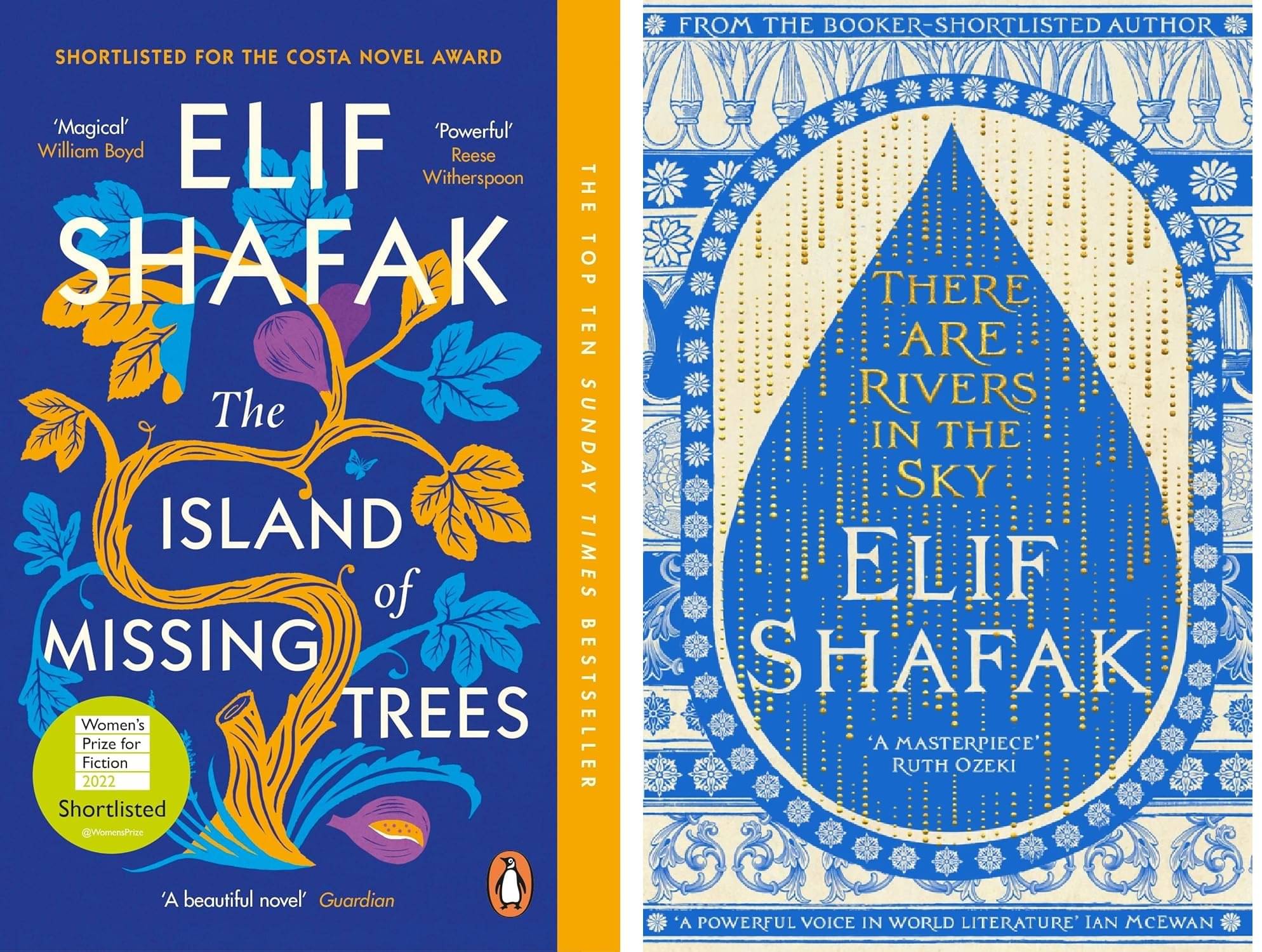     			2 Books: Missing Trees & Rivers in the Sky