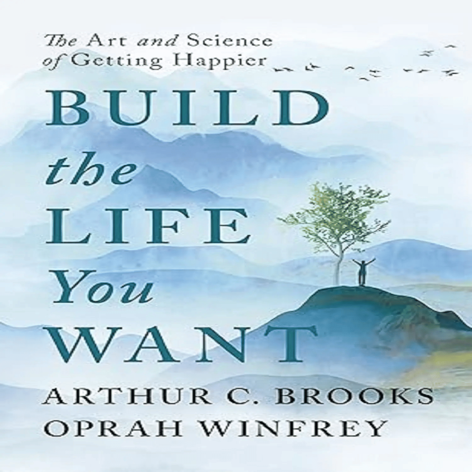 Build the Life You Want Paperback – 1 January 2023 Build the Life You Want Paperback – 1 January 2023