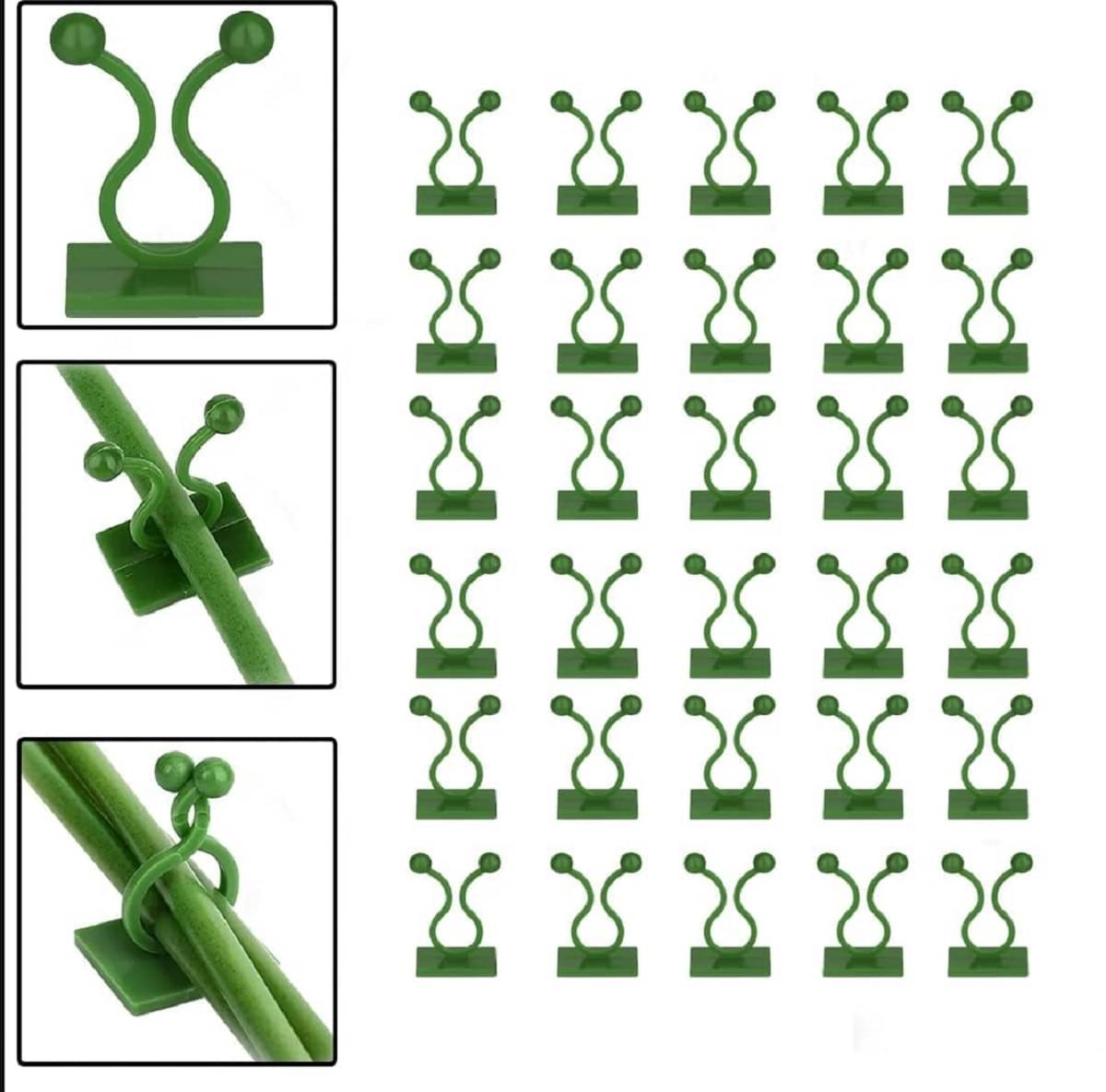     			Magnique 30Pcs Plant Stem Climbing Wall Clip, Reusable Plastic Plant Support Clips, Self-Adhesive Money Plant Support Wall Vines Fixture Wall Hook Vines Climbing Clip for Home (Green Plant Clip)