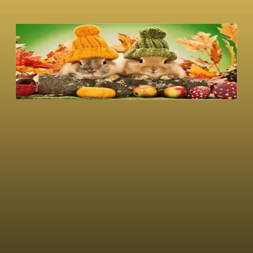     			REKHOLA Single Poly-Cotton Multi AC Cover for 1.5 Ton Split AC