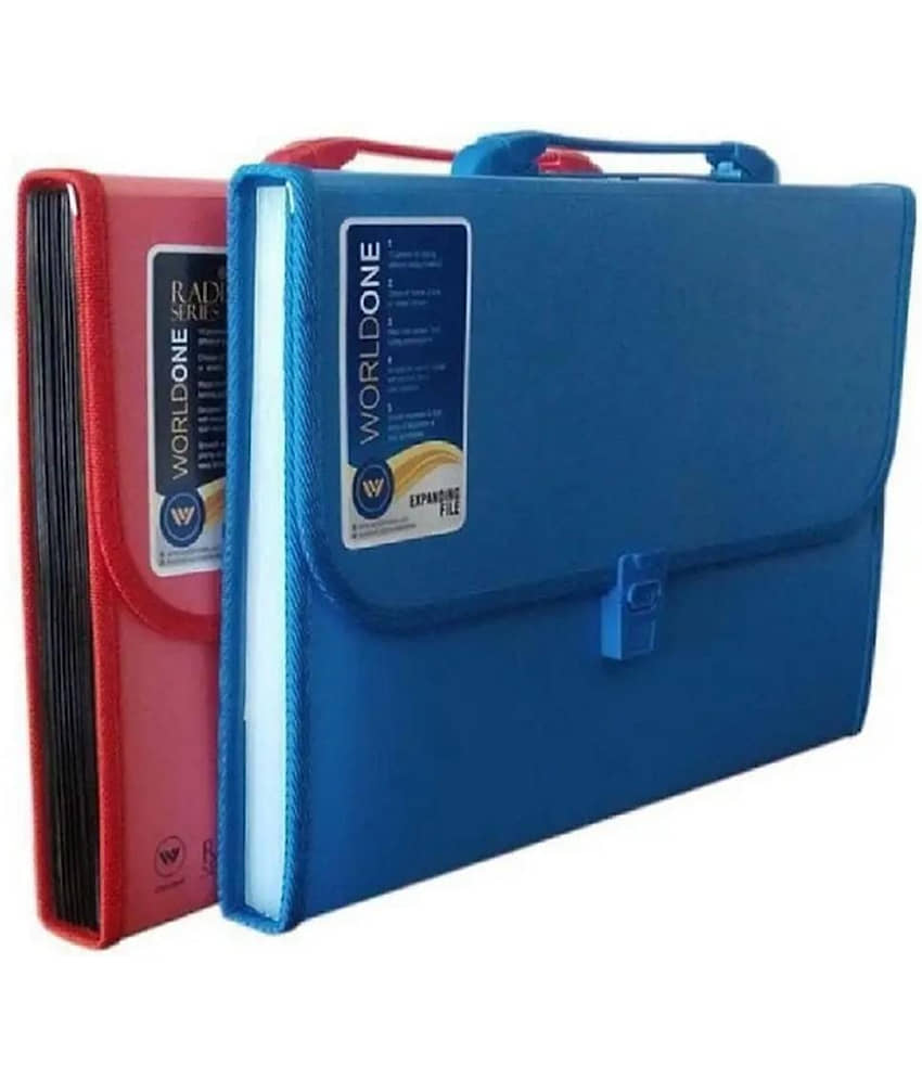 GMPex 13 Pocket File Folder with Handle and Buckle Closure (Mix Color) Assorted/Multicolour File Folder ( Pack of 2 ) - Stationery | Buy online on ZillyBuy