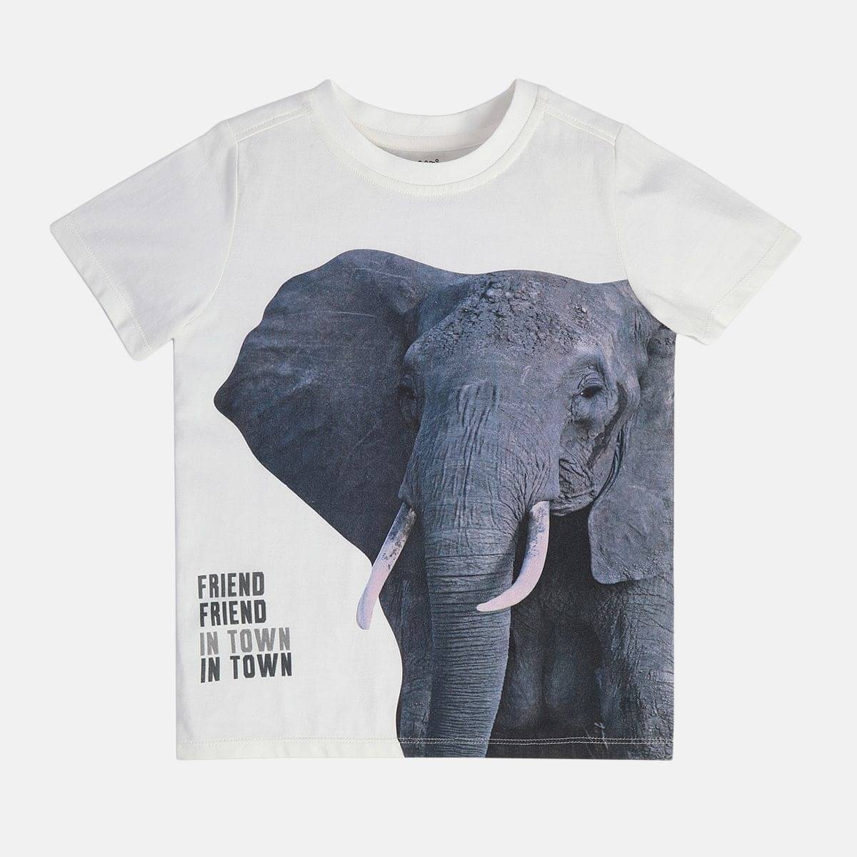     			MINI KLUB Pack of 1 Boys Cotton T-Shirt ( Off White )