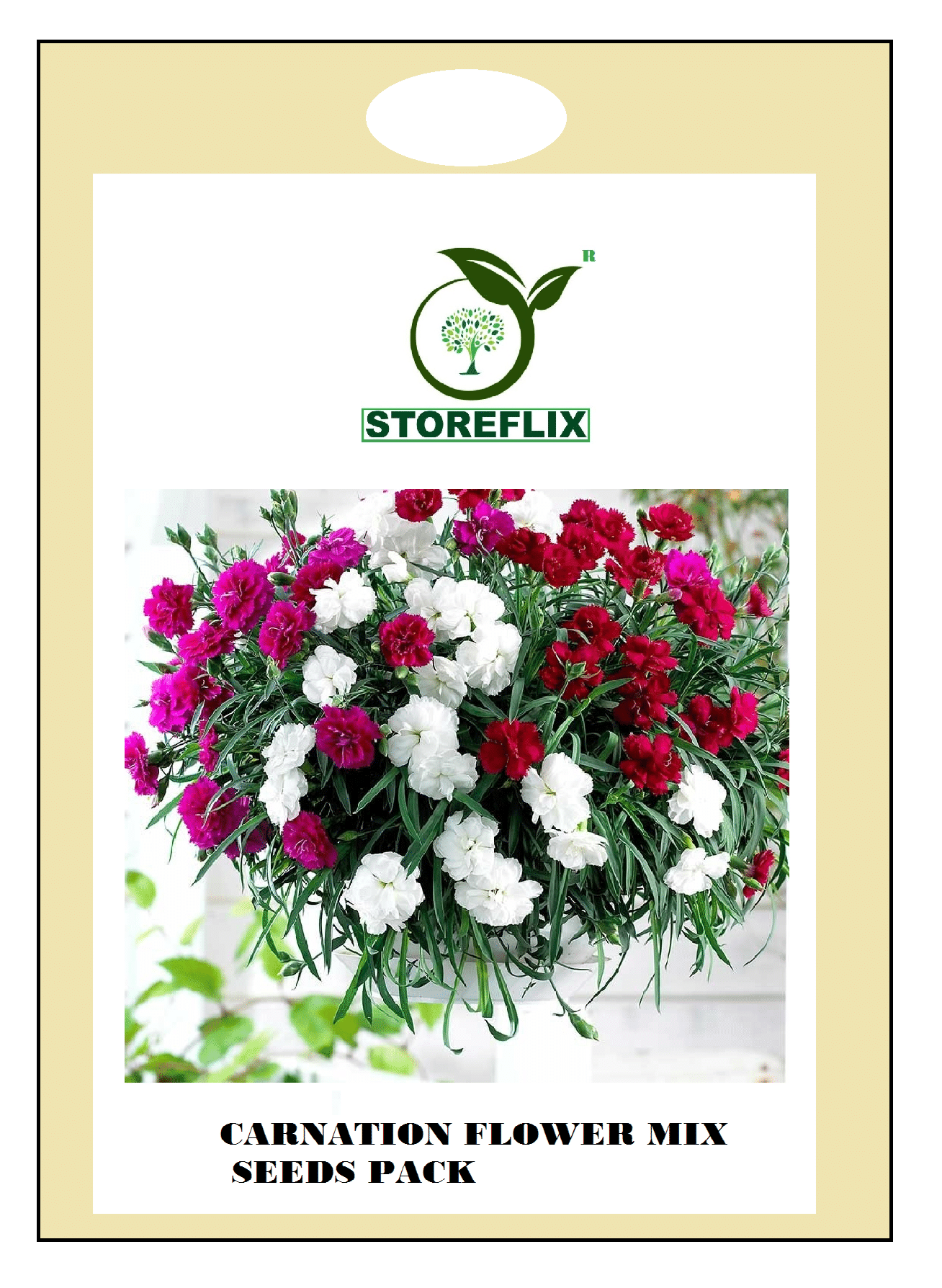 carnation flower 30 seeds pack with free cocopeat and user manual carnation flower 30 seeds pack with free cocopeat and user manual