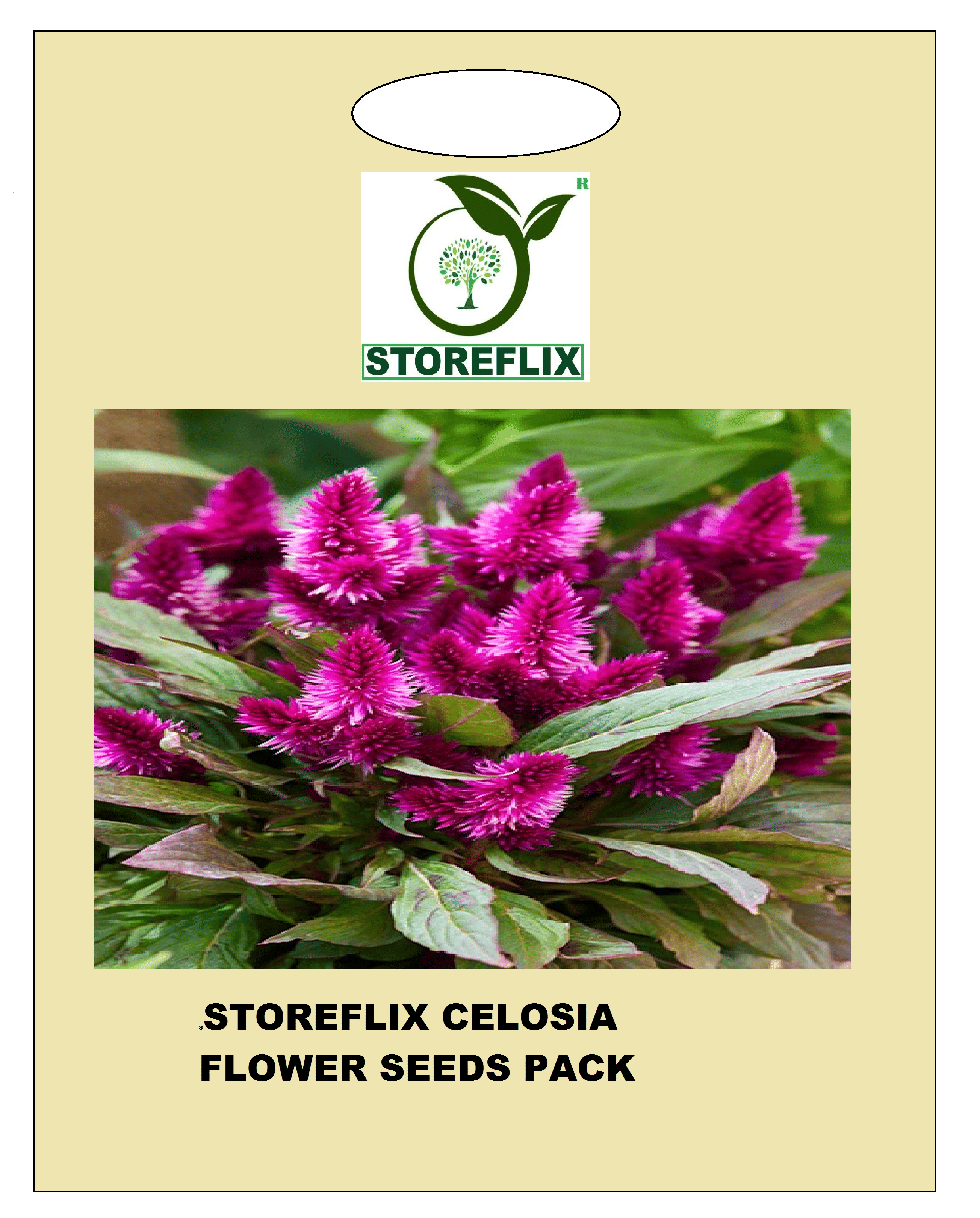 celosia flower 100 seeds pack with free cocopeat and user manual     			celosia flower 100 seeds pack with free cocopeat and user manual
