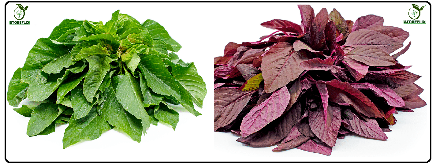 green amaranthus hari chaulai 200 seeds and red amaranthus laal chaulai 200 seeds pack with user manual for home kitchen gradening use green amaranthus hari chaulai 200 seeds and red amaranthus laal chaulai 200 seeds pack with user manual for home kitchen gradening use