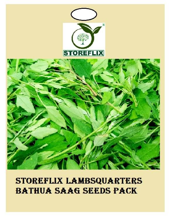 lambsquarters bathua saag 50 seeds pack with user manual for home kitchen gradening use lambsquarters bathua saag 50 seeds pack with user manual for home kitchen gradening use