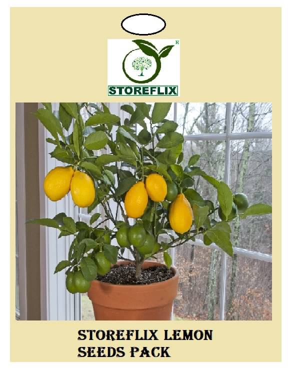     			lemon 20 seeds pack with user manual for home kitchen gradening use