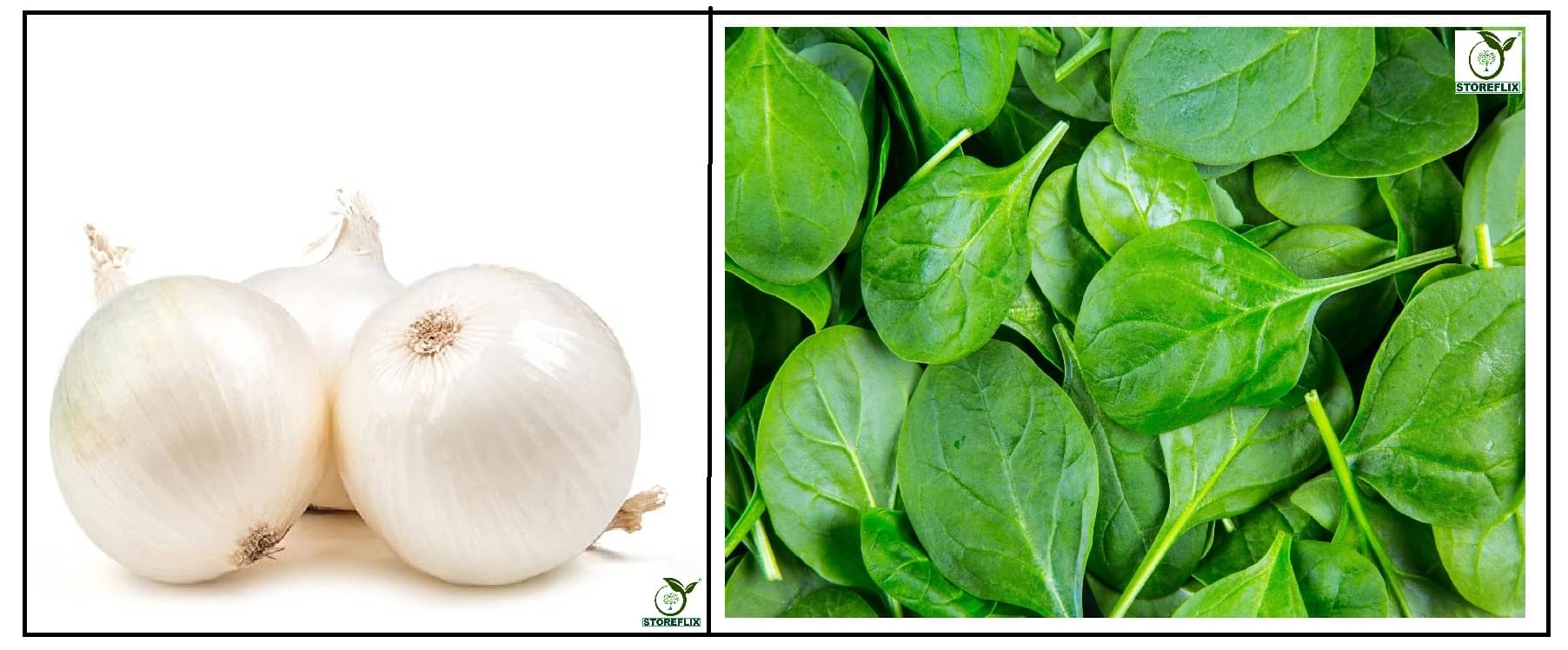 onnion white 200 seeds and spinach 100 seeds pack with user manual for home kitchen gradening use onnion white 200 seeds and spinach 100 seeds pack with user manual for home kitchen gradening use