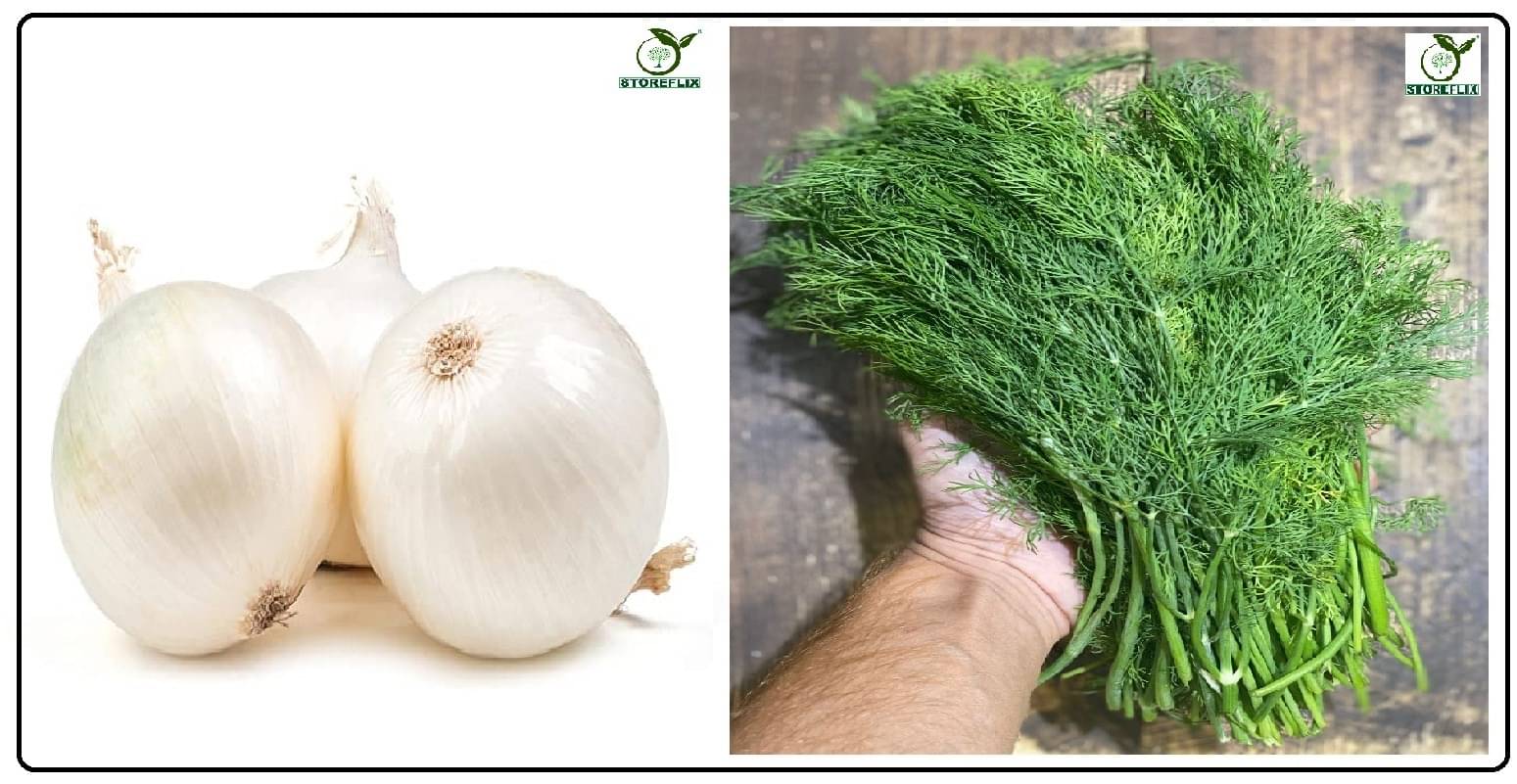     			onnion white 200 seeds and soya 100 seeds pack with user manual for home kitchen gradening use