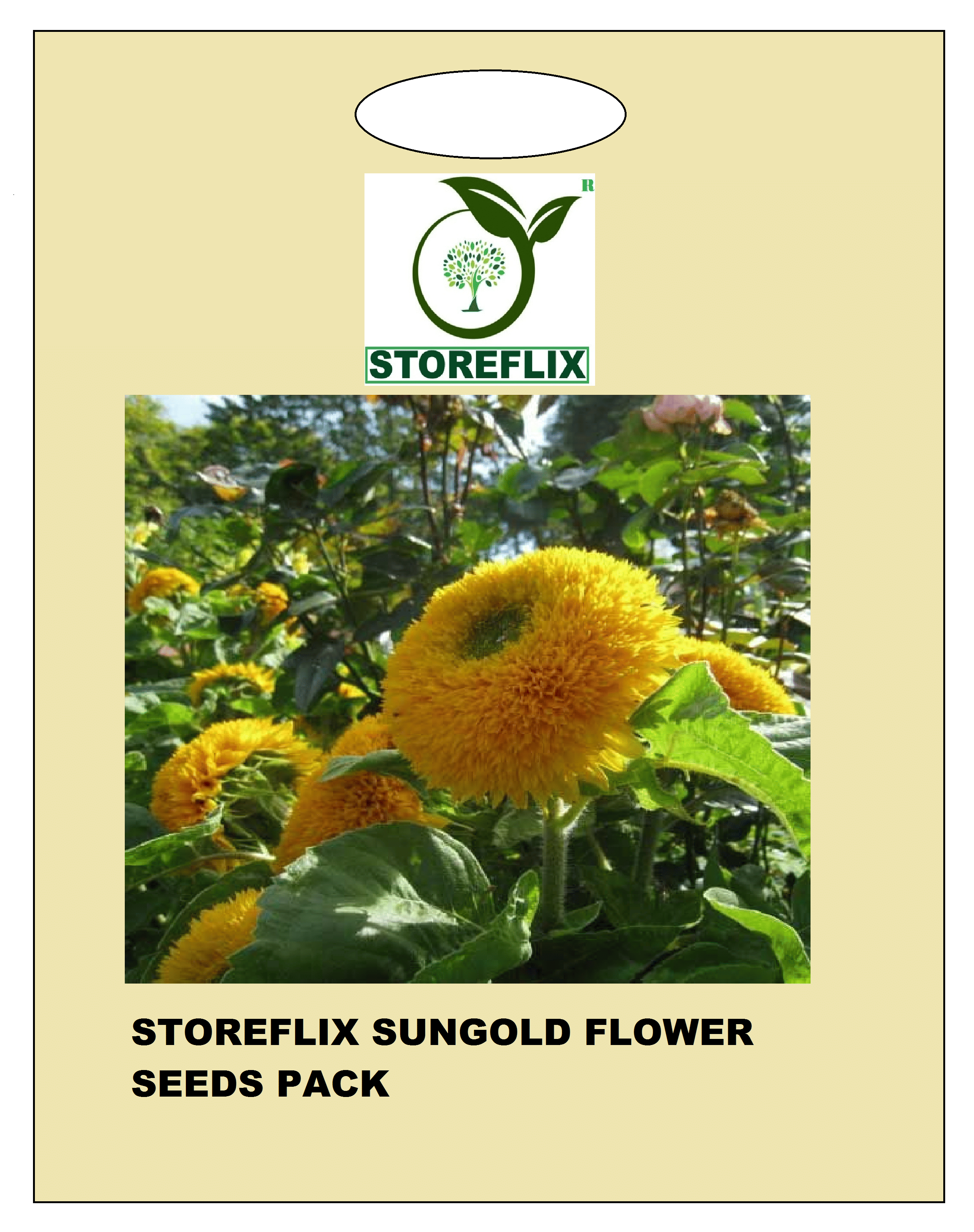     			sungold flower 15 seeds pack with free cocopeat and user manual