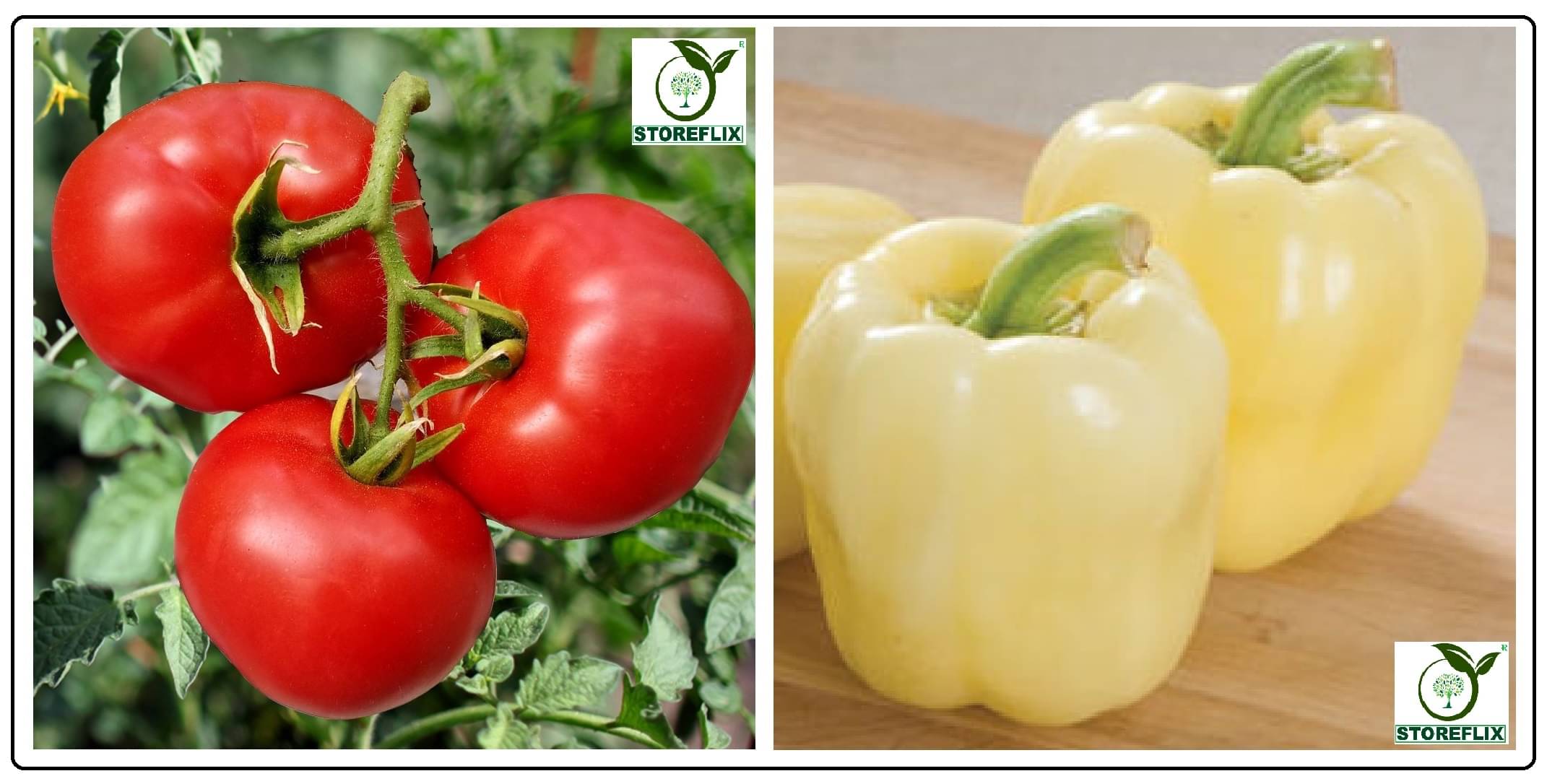 tomato 100 seeds and capsicum white 50 seeds pack with user manual for home kitchen gradening use tomato 100 seeds and capsicum white 50 seeds pack with user manual for home kitchen gradening use