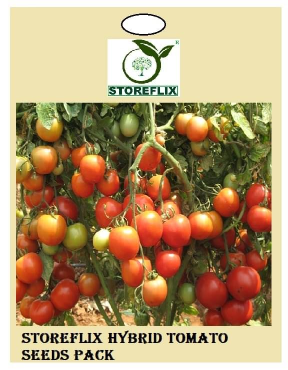     			tomato 100  seeds pack with user manual for home kitchen gradening use