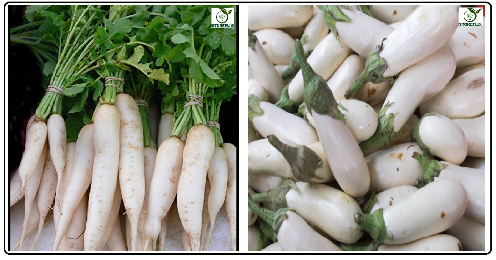     			white radish (muli) 50 seeds and brinjal white med long 100 seeds pack with user manual for home kitchen gradening use