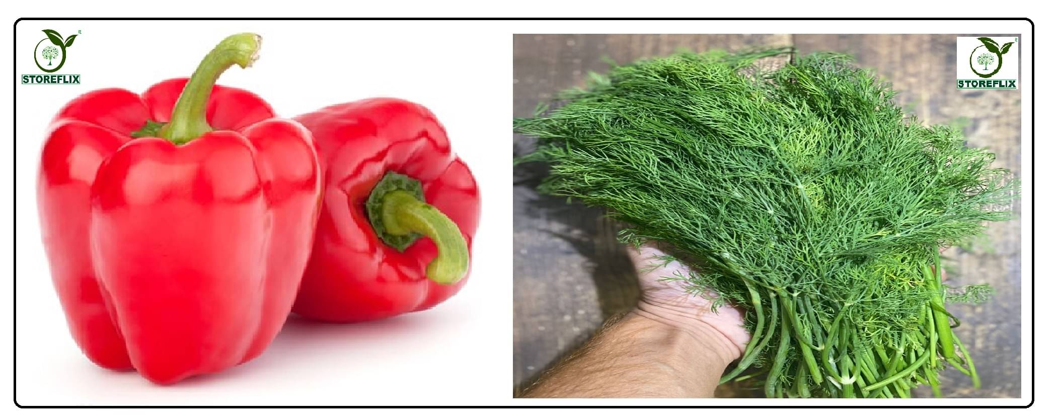 capsicum red 50 seeds and soya dil culinerry 100 seeds pack with user manual for home kitchen gradening use capsicum red 50 seeds and soya dil culinerry 100 seeds pack with user manual for home kitchen gradening use
