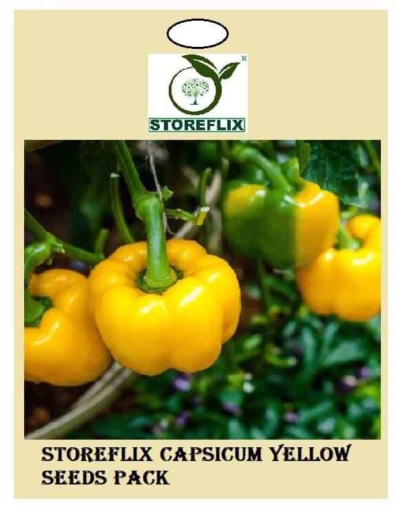 capsicum yellow 50 seeds pack with user manual for home kitchen gradening use capsicum yellow 50 seeds pack with user manual for home kitchen gradening use