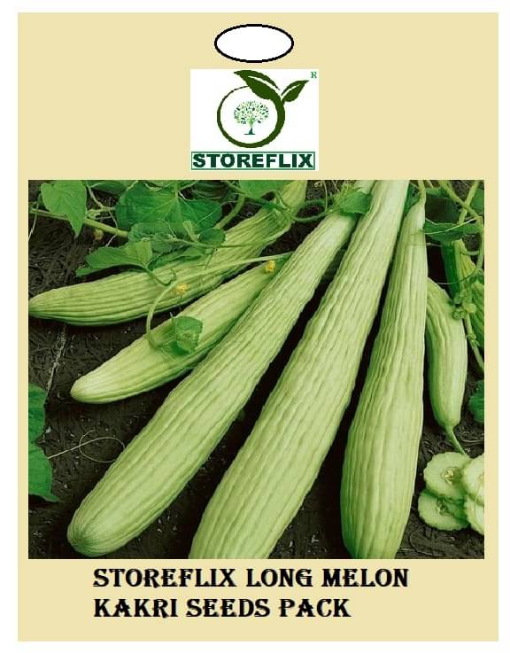 long melon kakri 50 seeds pack with user manual for home kitchen gradening use long melon kakri 50 seeds pack with user manual for home kitchen gradening use