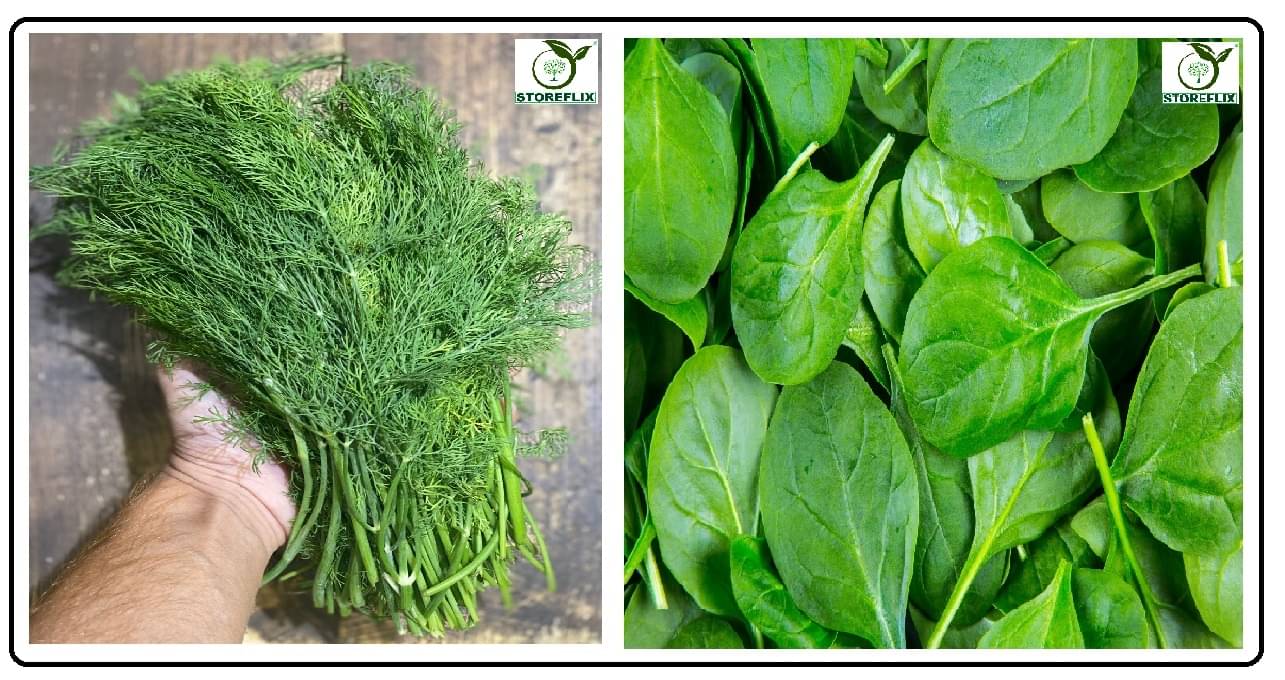 soya 100 seeds and spinach (palak) 100 seeds pack with user manual for home kitchen gradening use soya 100 seeds and spinach (palak) 100 seeds pack with user manual for home kitchen gradening use