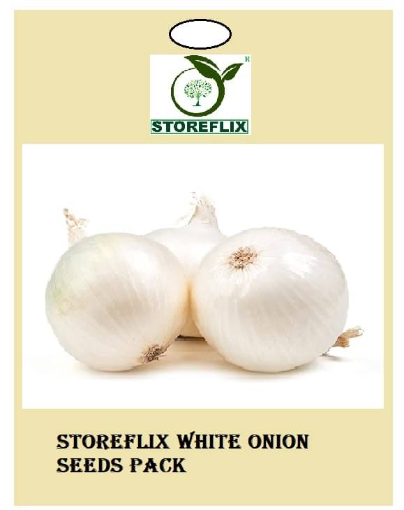     			white onion 200  seeds pack with user manual for home kitchen gradening use