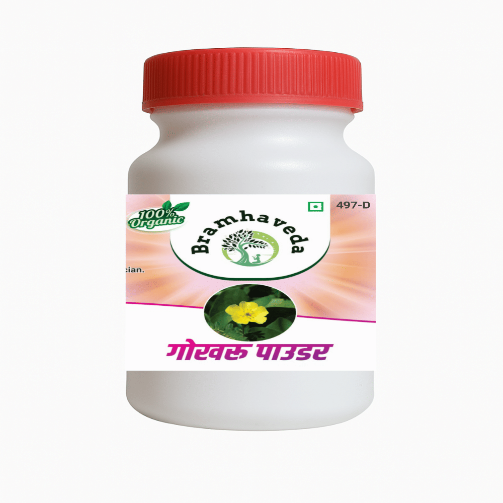 BRAMHAVEDA Powder For Immunity ( Pack of 1 ) BRAMHAVEDA Powder For Immunity ( Pack of 1 )