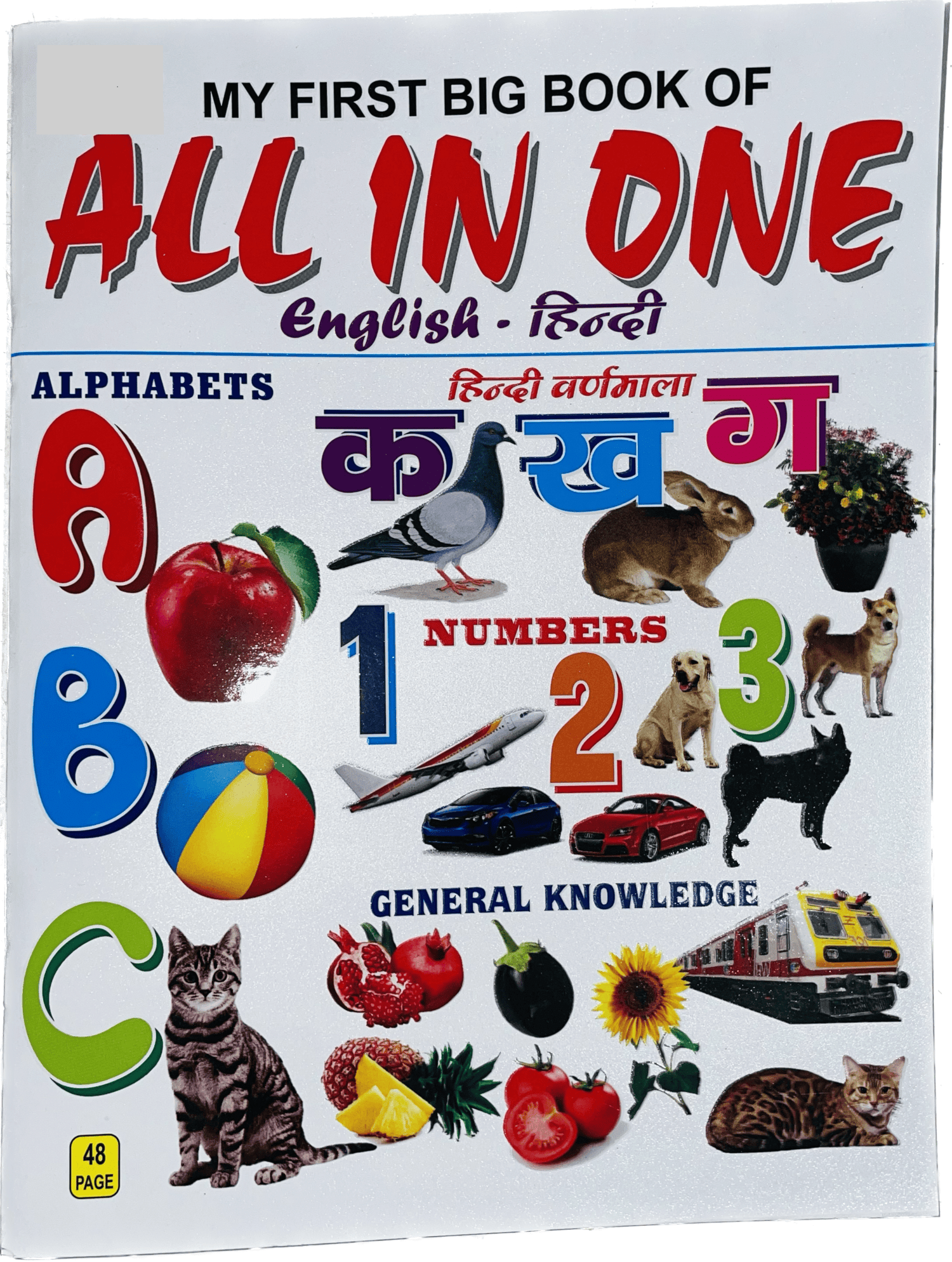     			Book All In One English-Hindi Learning Book with 48pages For Children