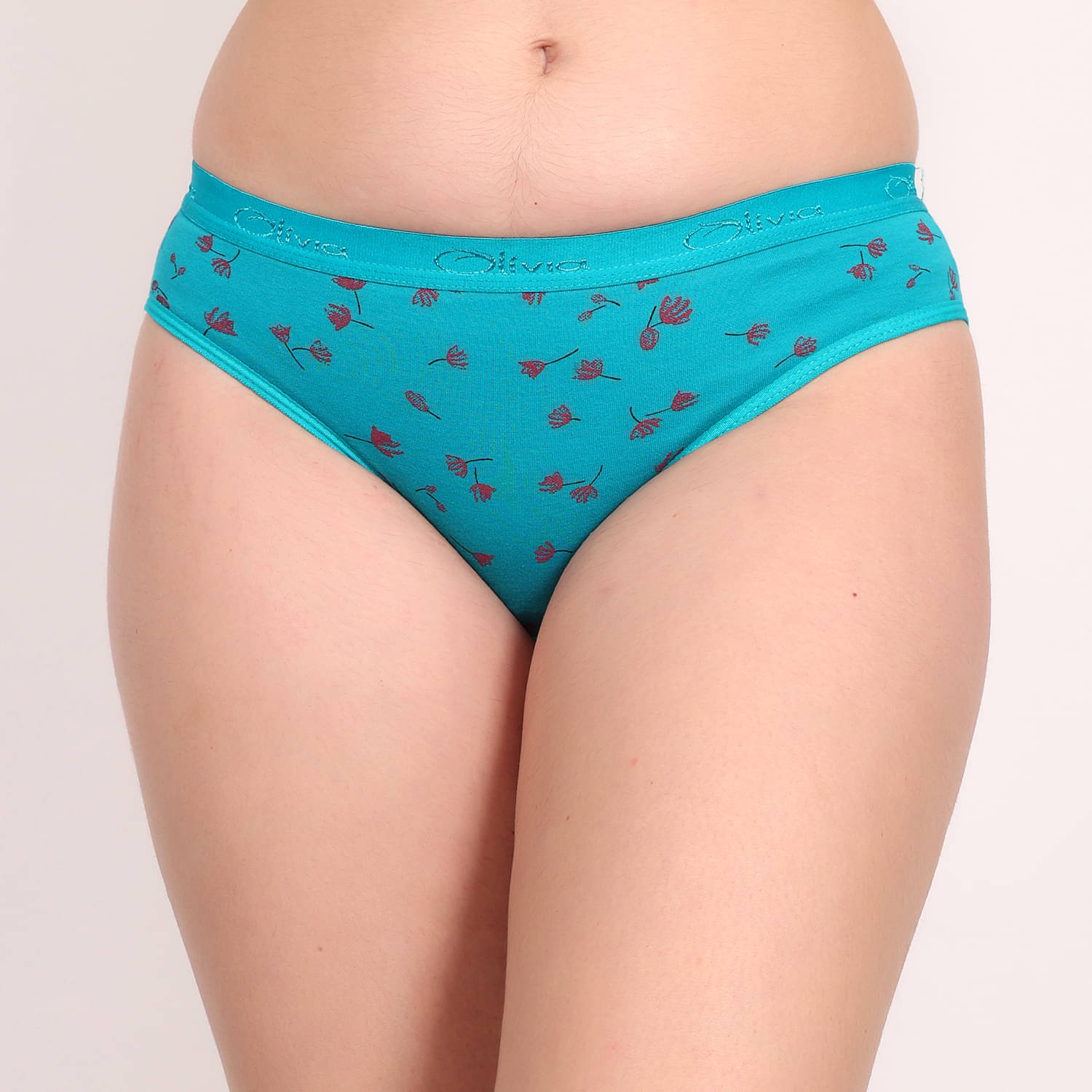     			Da Ritu's Pack of 1 Cotton Lycra Briefs For Women ( Turquoise )