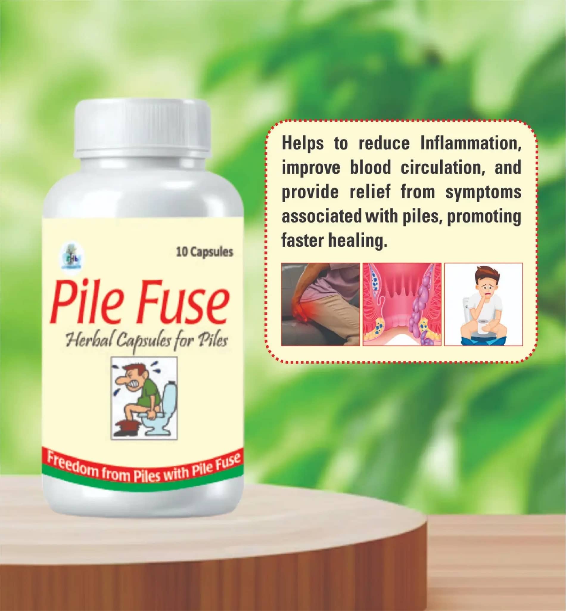 Sri Herbasia Biotech Ayurvedic Pile Fuse Herbal Capsule For Piles 10 No.S (Pack of 2)
