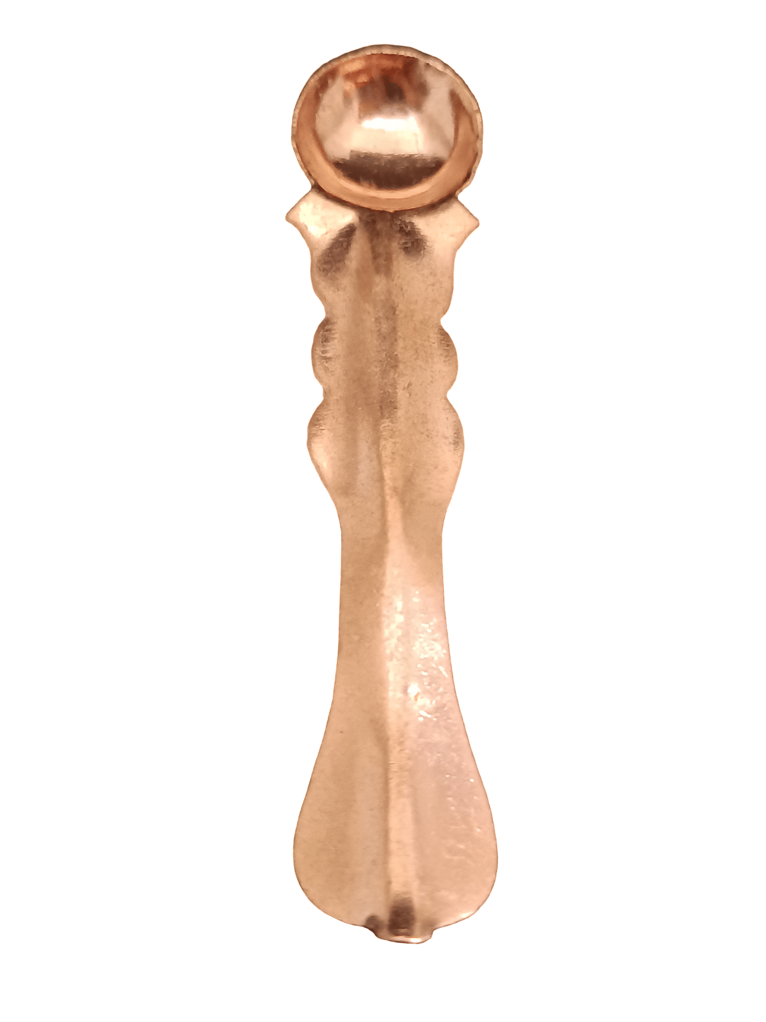     			Apna Rudraksha Achmani 1 ( Pack of 1 )