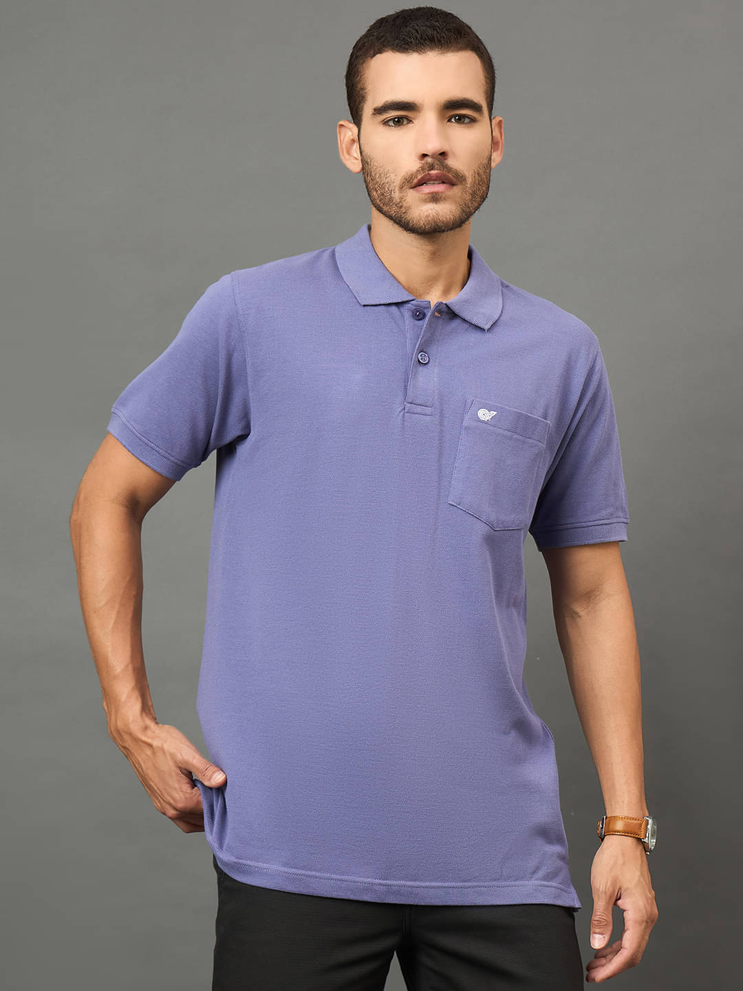     			Club York Men Cotton Blend Regular Fit Solid Polo T Shirt ( Purple )