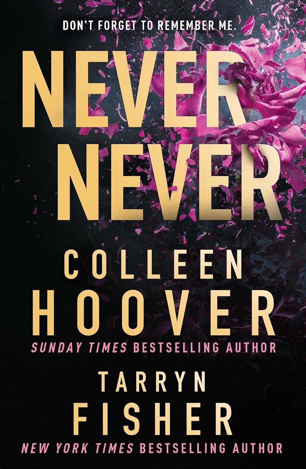 Never Never: The heartbreaking romantic thriller from the bestselling authors of It Ends With Us and The Wives Paperback – 28 February 2023     			Never Never: The heartbreaking romantic thriller from the bestselling authors of It Ends With Us and The Wives Paperback – 28 February 2023