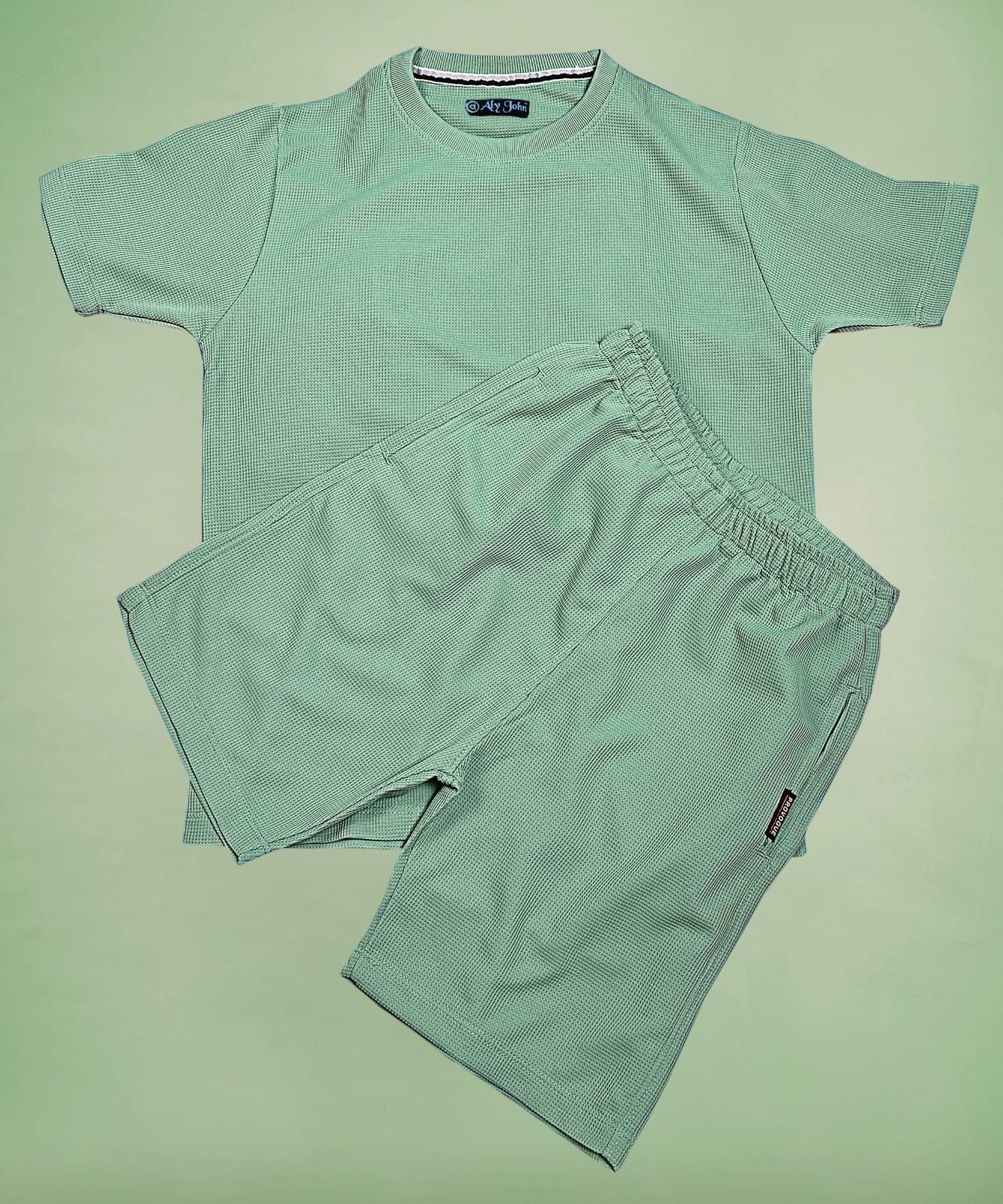 ALY JOHN Pack of 1 Boys Cotton Blend T-Shirt & Shorts Set ( Green ) ALY JOHN Pack of 1 Boys Cotton Blend T-Shirt & Shorts Set ( Green )
