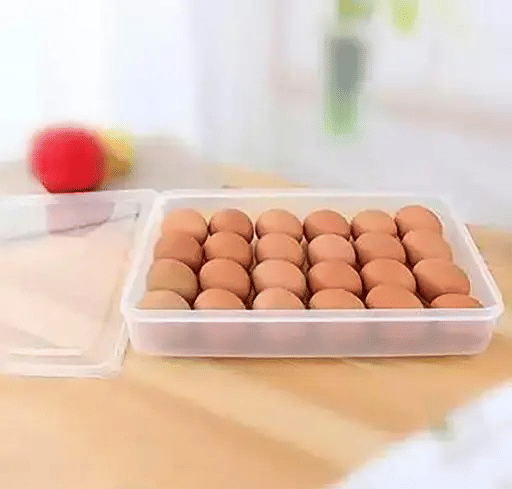    			FENUZ 24GridEggStorageBox Plastic White Egg Container ( Set of 1 )