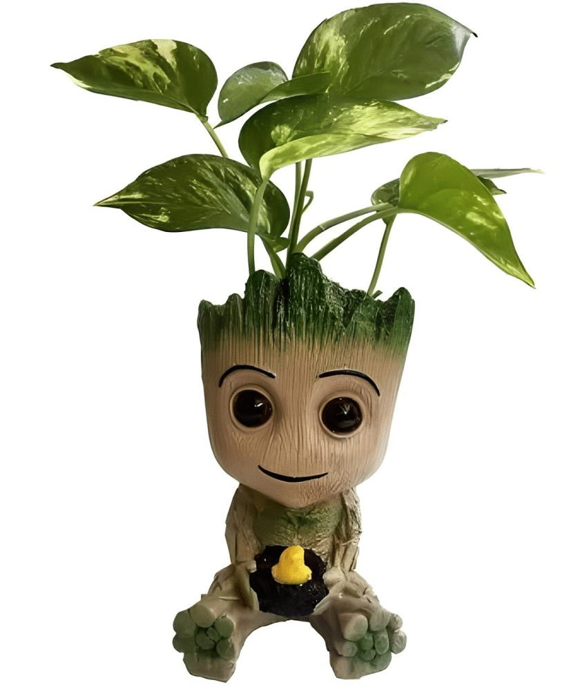     			Khushi Enterprises - Decorative Pot 13 cm