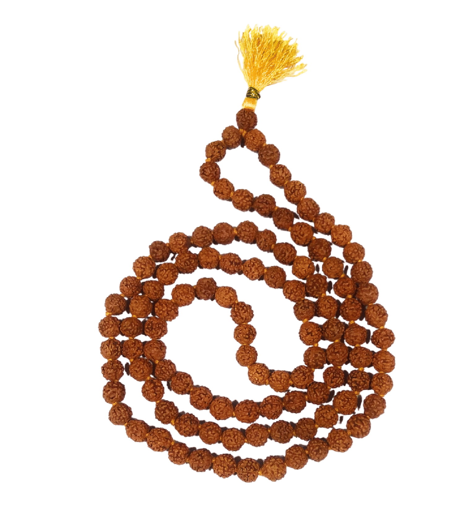 Apna Rudraksha Jap Mala 1 ( Pack of 1 ) Apna Rudraksha Jap Mala 1 ( Pack of 1 )