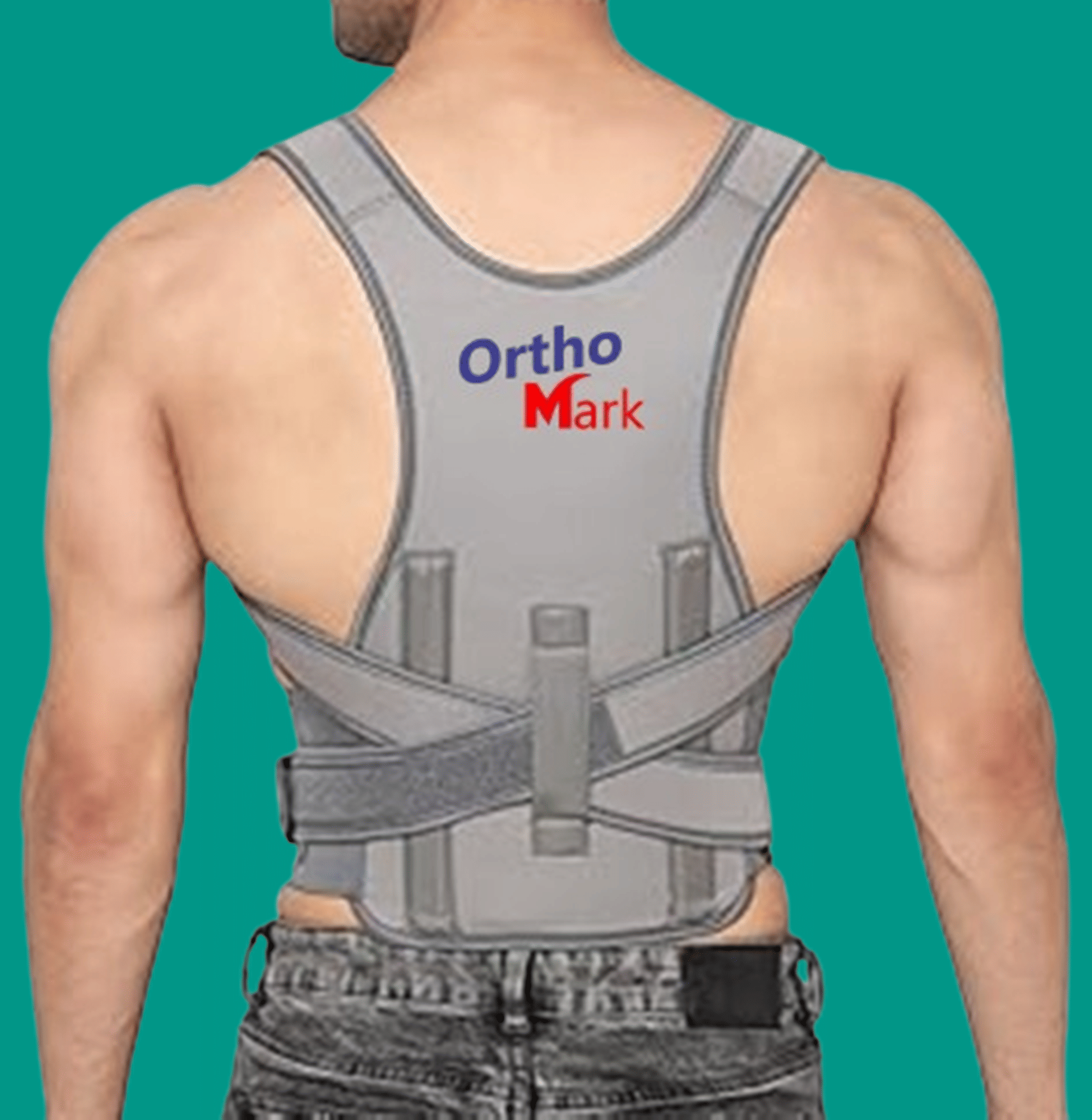     			ORTHO MARK Shoulder Support ( Free Size - Size )