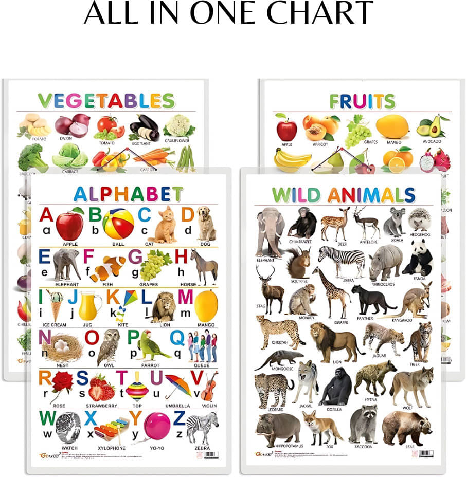     			All-in-One Kids Chart | 10+ Topics (Shapes, Colors, Animals & More)