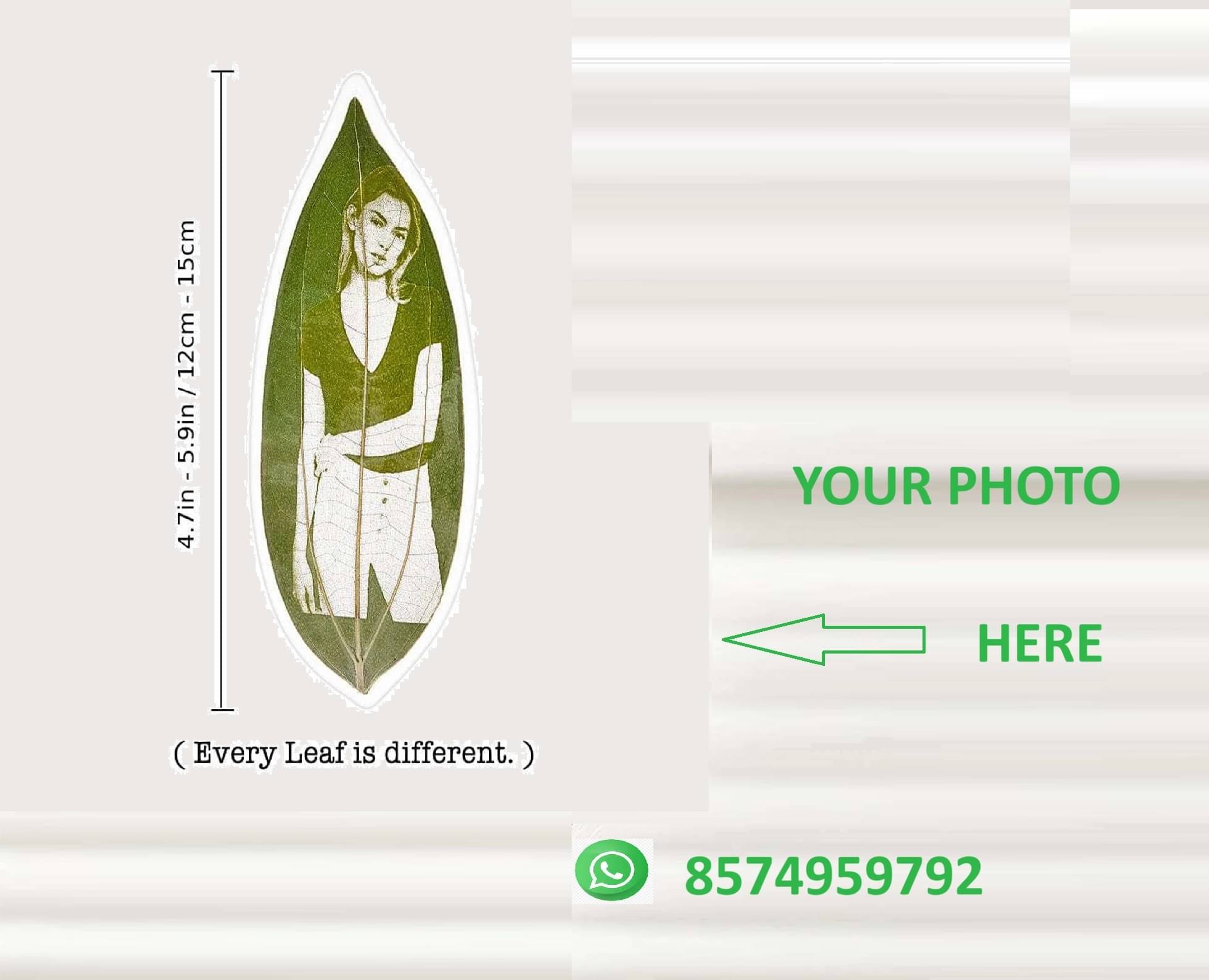     			Alqahhar Wood Green Single Photo Frame No. of Pieces- 1