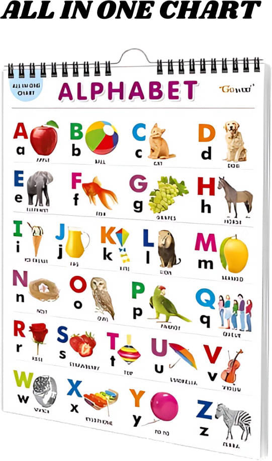     			Educational Chart for Kids | 10+ Topics Included (Alphabet, Numbers & More)