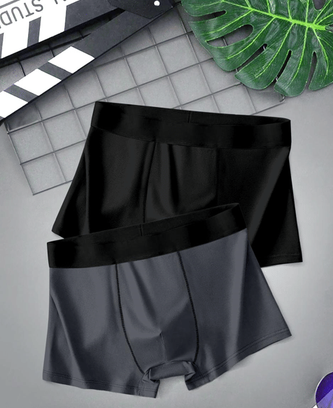 TEHSVA Pack of 2 Nylon Briefs For Men's ( Grey ) TEHSVA Pack of 2 Nylon Briefs For Men's ( Grey )