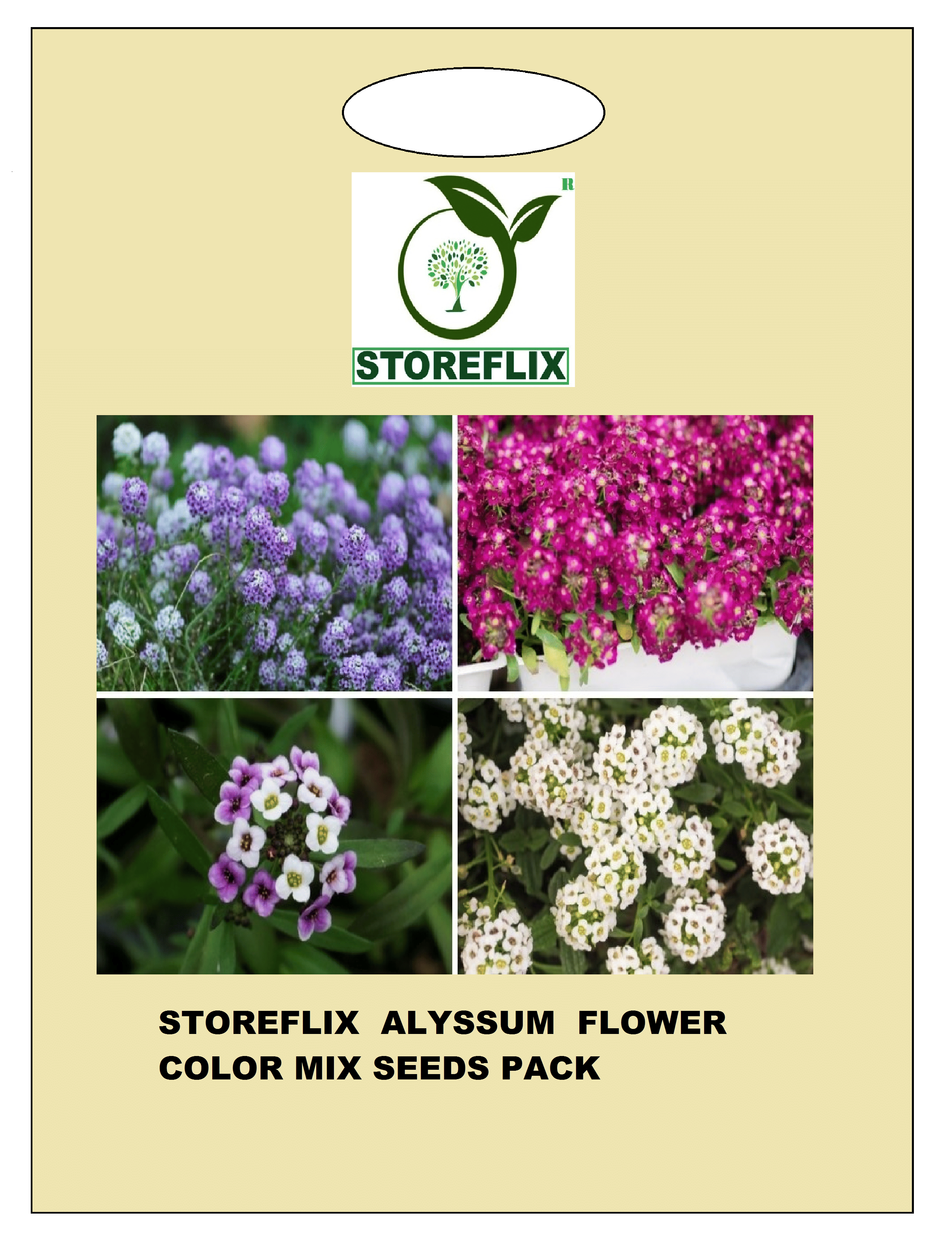 alyssum flower 30 seeds pack with free cocopeat and user manual alyssum flower 30 seeds pack with free cocopeat and user manual