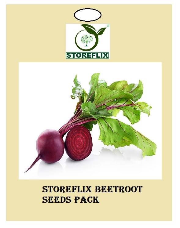     			beetroot 100 seeds pack with user manual for home kitchen gradening use