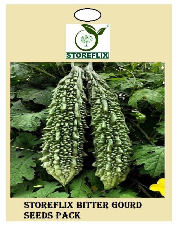     			bitter gourd 25 seeds pack with user manual for home kitchen gradening use