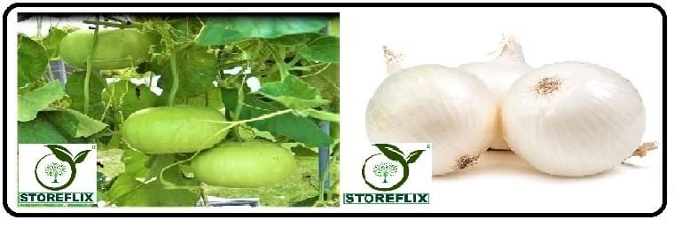 bottle gourd round 25 seeds and onnion white 200 seeds pack with user manual for home kitchen gardening use bottle gourd round 25 seeds and onnion white 200 seeds pack with user manual for home kitchen gardening use