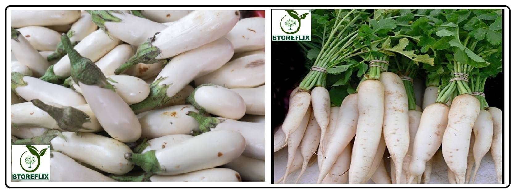 brinjal white med long 100 seeds and radish 50 seeds pack with user manual for home kitchen gardening use brinjal white med long 100 seeds and radish 50 seeds pack with user manual for home kitchen gardening use