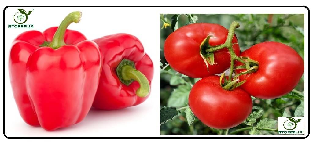     			capsicum red 50 seeds and tomato 100  seeds pack with user manual for home kitchen gradening use