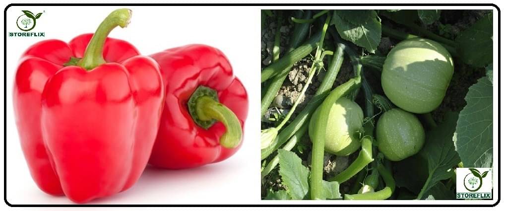 capsicum red 50 seeds and squsah round 10 seeds pack with user manual for home kitchen gradening use capsicum red 50 seeds and squsah round 10 seeds pack with user manual for home kitchen gradening use