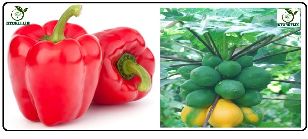 capsicum red 50 seeds and papaya 50 seeds pack with user manual for home kitchen gradening use capsicum red 50 seeds and papaya 50 seeds pack with user manual for home kitchen gradening use